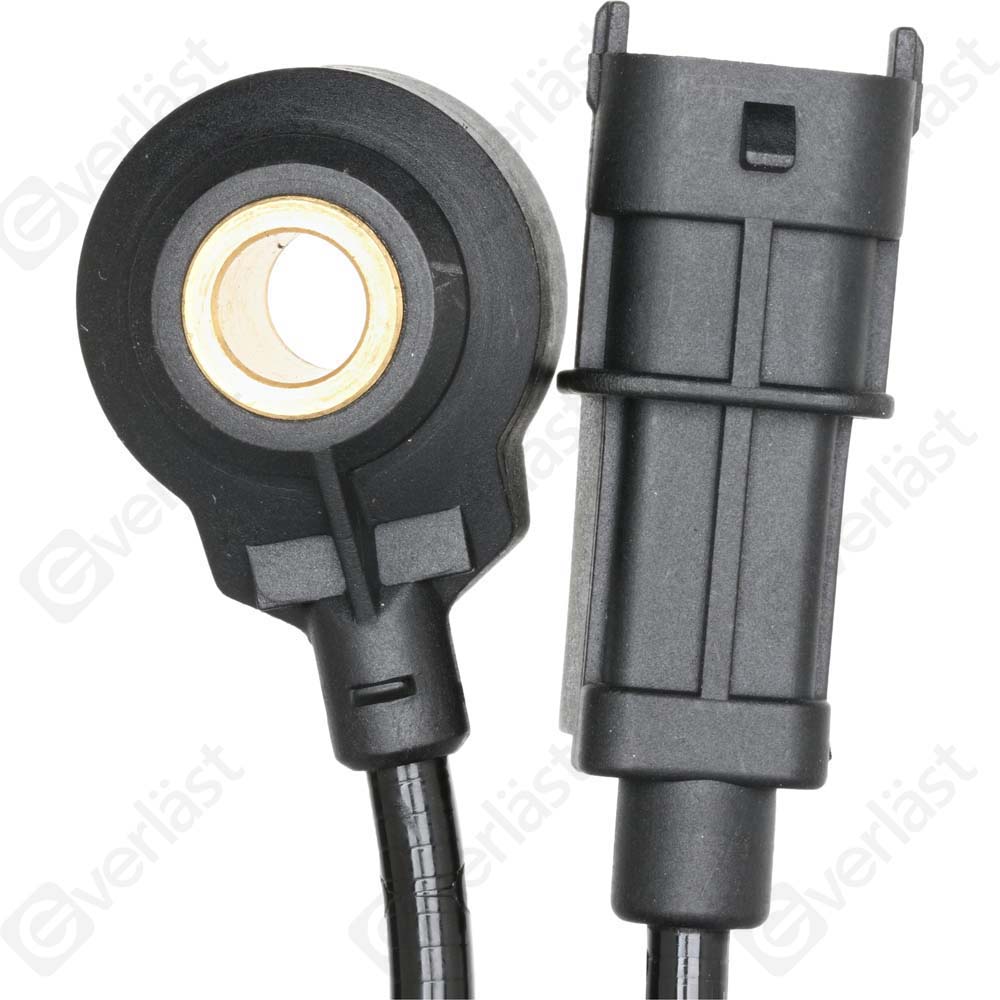DETECTEUR CLIQUETIS EVERLAST - 3