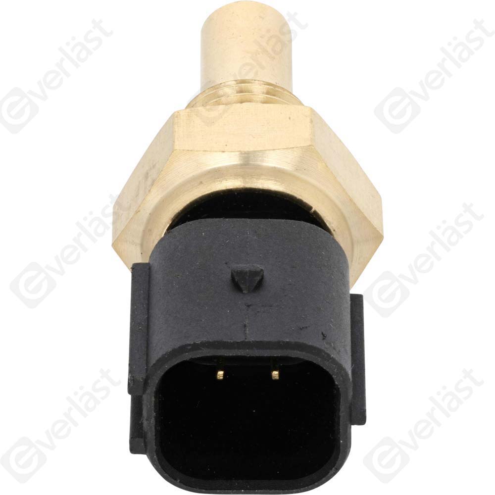 CAPTEURDE TEMPERATURE EVERLAST - 3