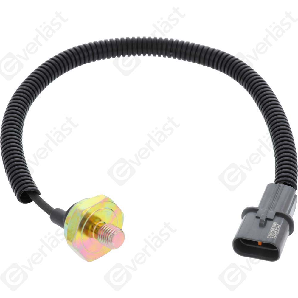 DETECTEUR CLIQUETIS EVERLAST - 5