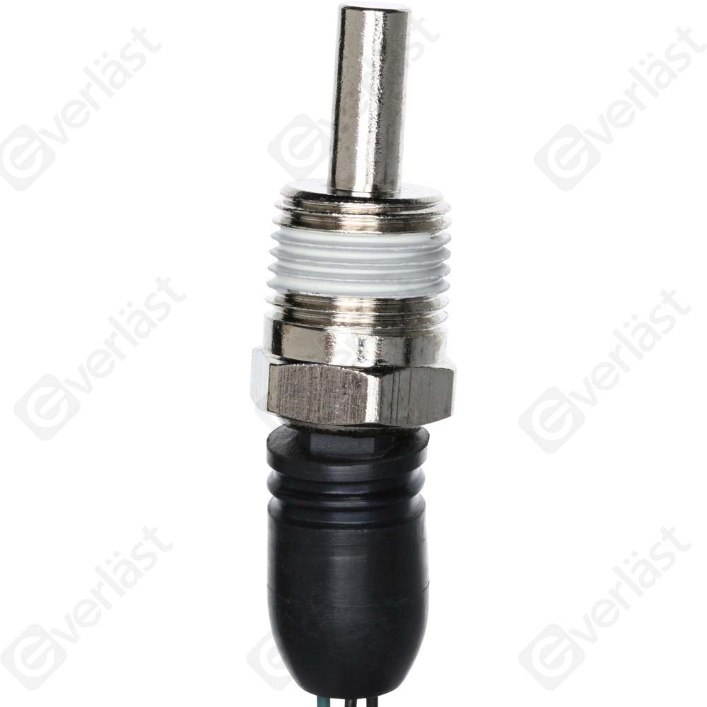 CAPTEURDE TEMPERATURE EVERLAST - 3