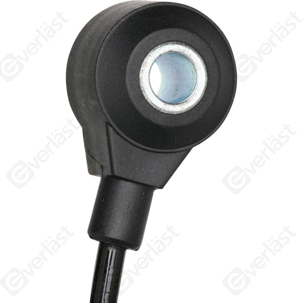 DETECTEUR CLIQUETIS EVERLAST - 3