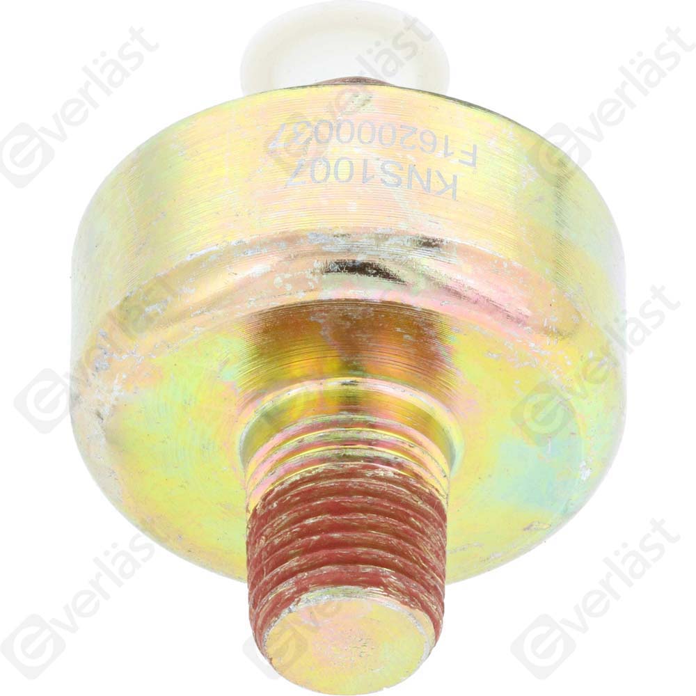 DETECTEUR CLIQUETIS EVERLAST - 5
