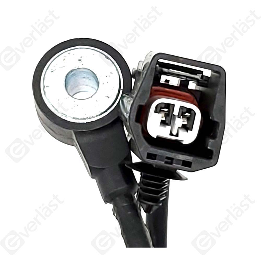 DETECTEUR CLIQUETIS EVERLAST - 2