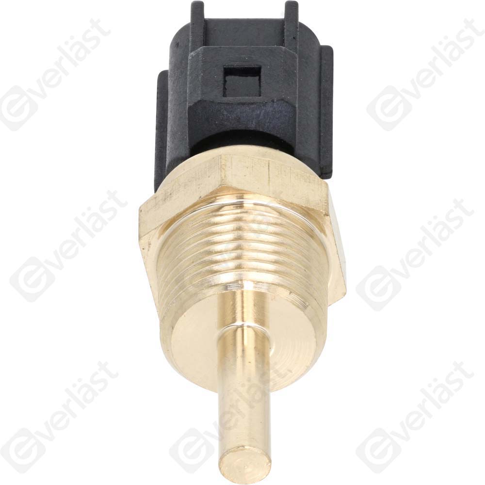 CAPTEURDE TEMPERATURE EVERLAST - 5