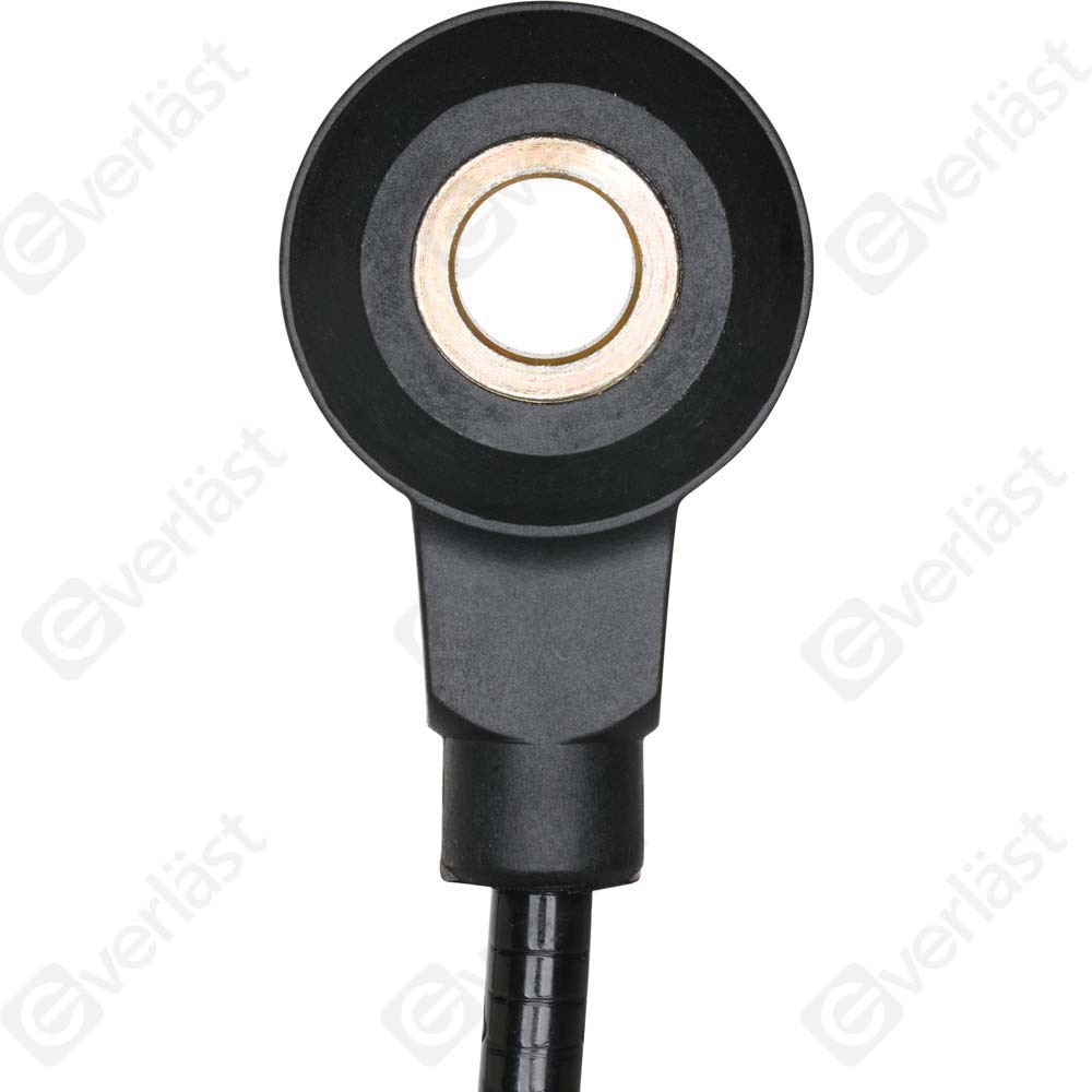 DETECTEUR CLIQUETIS EVERLAST - 4