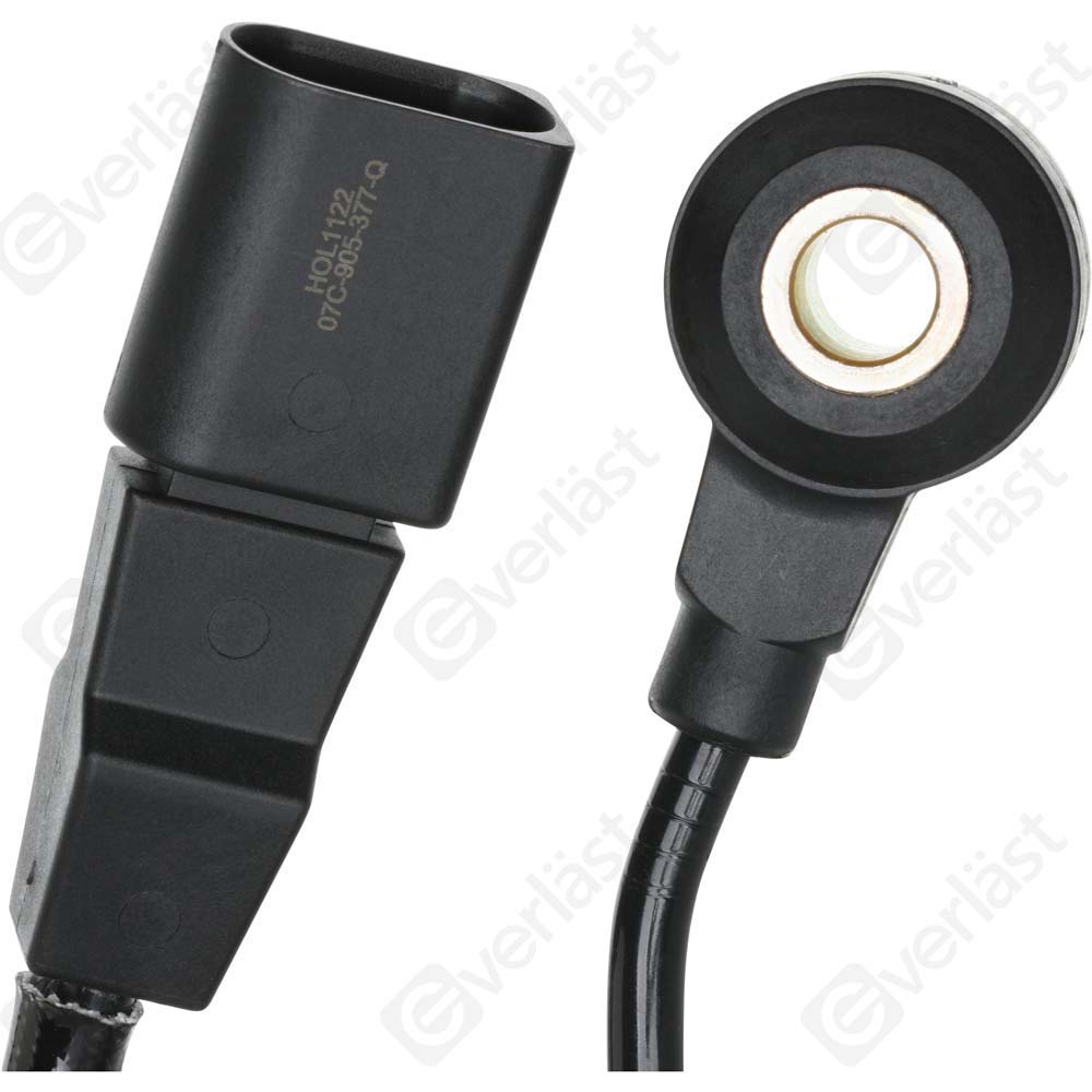 DETECTEUR CLIQUETIS EVERLAST - 5