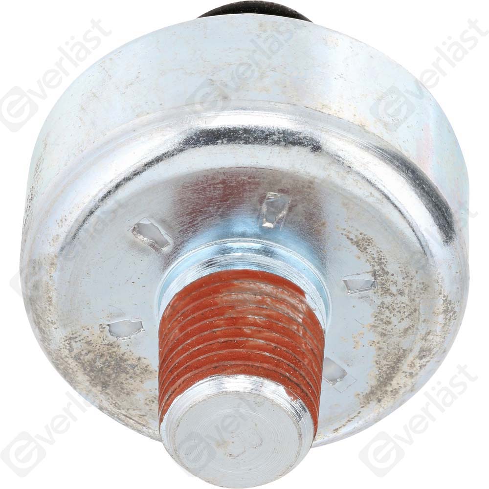 DETECTEUR CLIQUETIS EVERLAST - 4