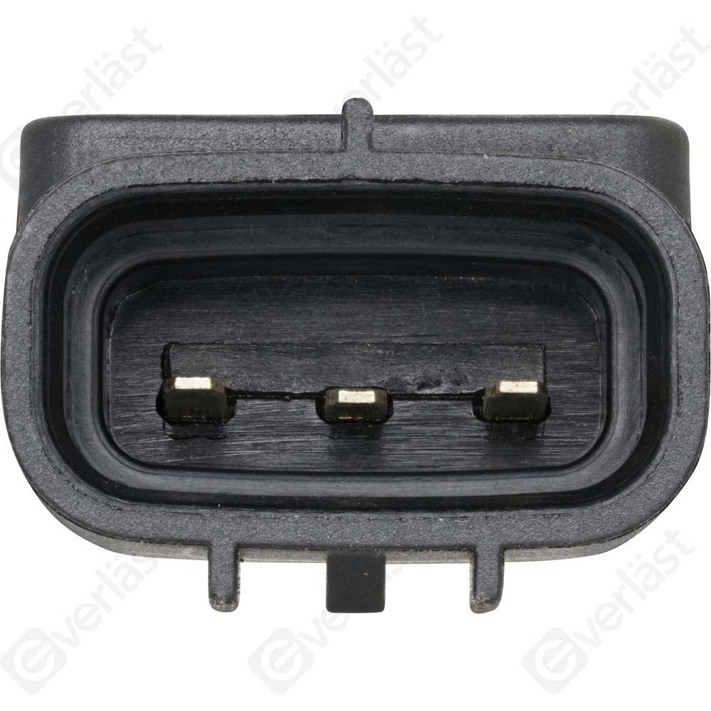 EVERLAST MANIFOLD SENSOR - 2