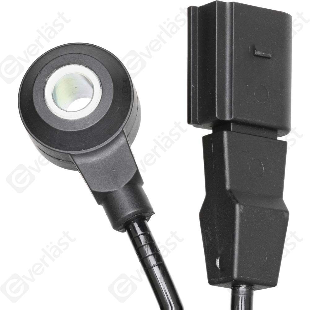 DETECTEUR CLIQUETIS EVERLAST - 5