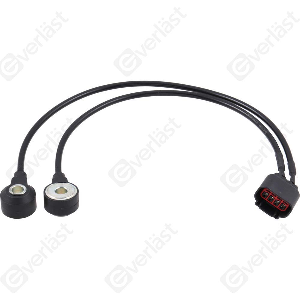 DETECTEUR CLIQUETIS EVERLAST - 5