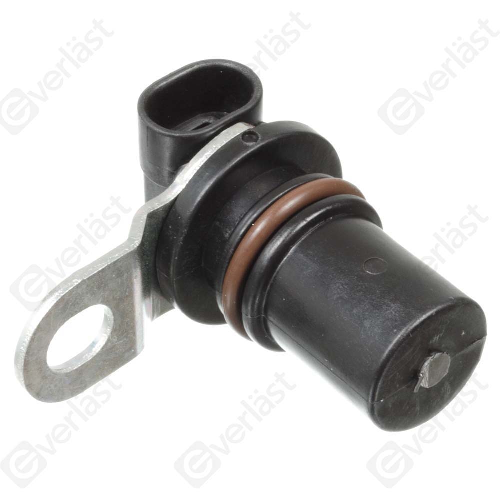 CAPTEUR DE VITESSE EVERLAST - 3
