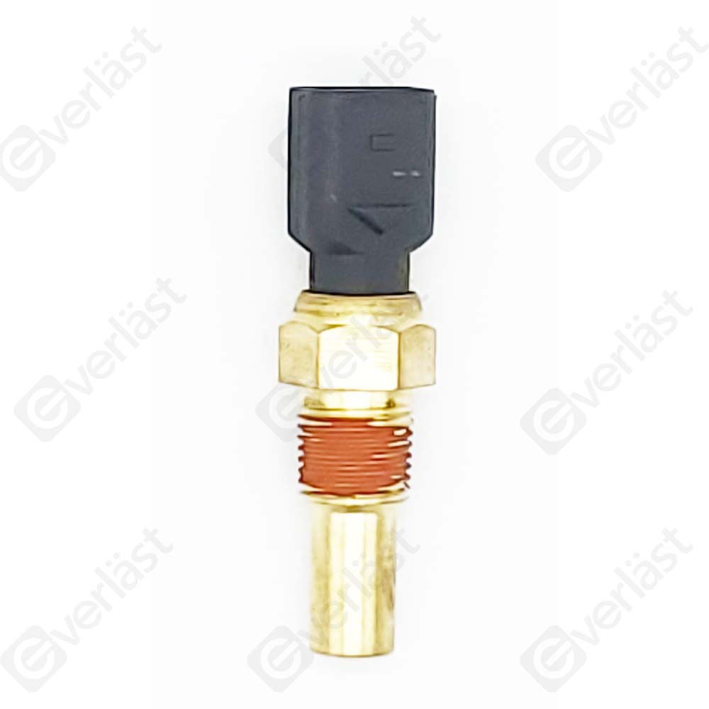 CAPTEURDE TEMPERATURE EVERLAST - 2
