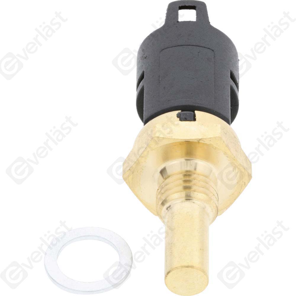 CAPTEURDE TEMPERATURE EVERLAST - 5
