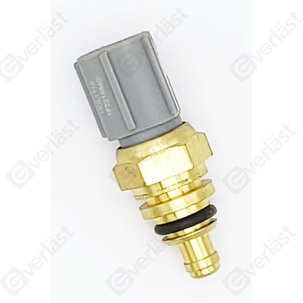 CAPTEURDE TEMPERATURE EVERLAST - 3