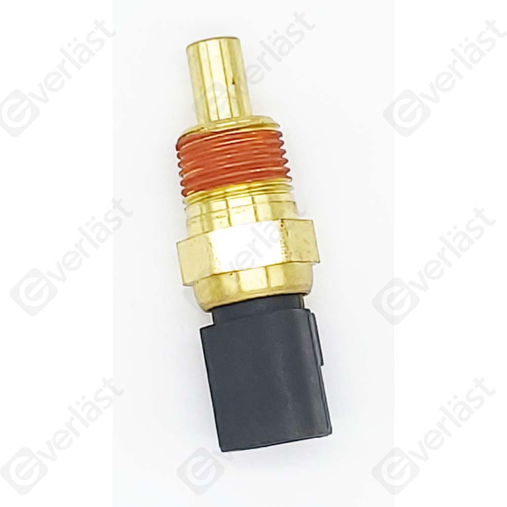 CAPTEURDE TEMPERATURE EVERLAST - 4