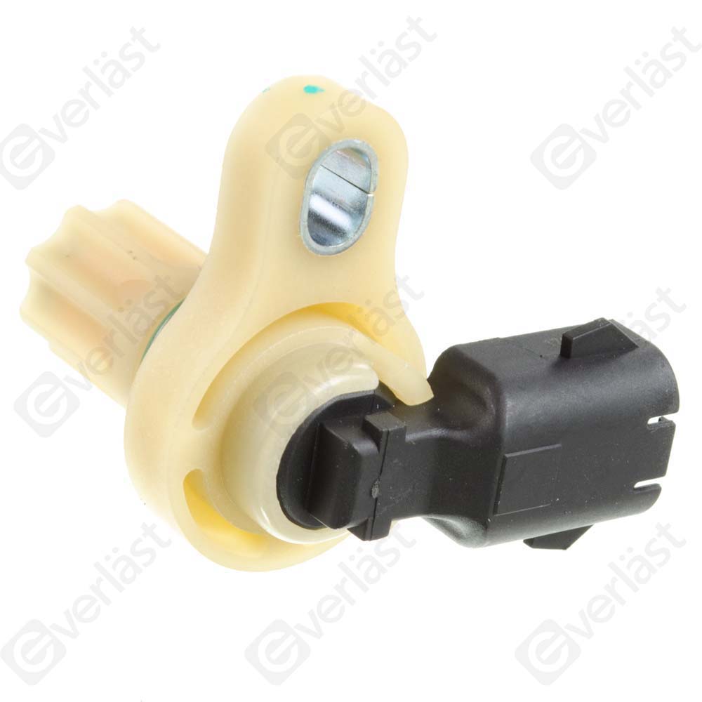 CAPTEUR DE VITESSE EVERLAST - 2