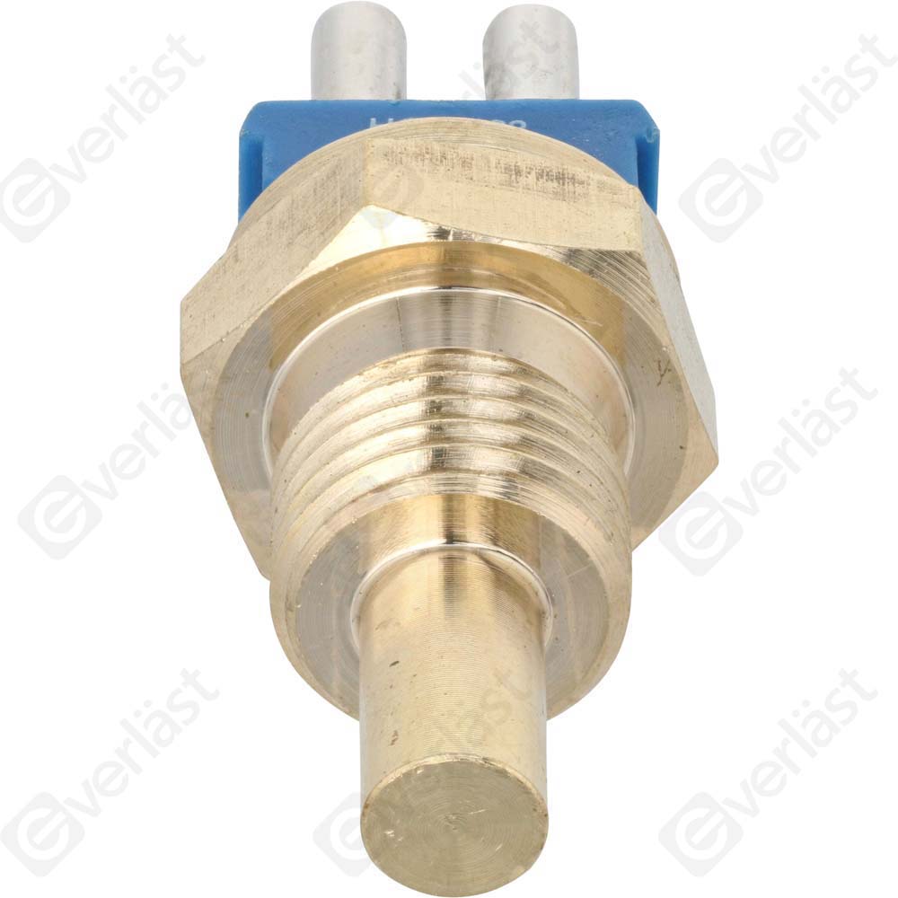 CAPTEURDE TEMPERATURE EVERLAST - 4