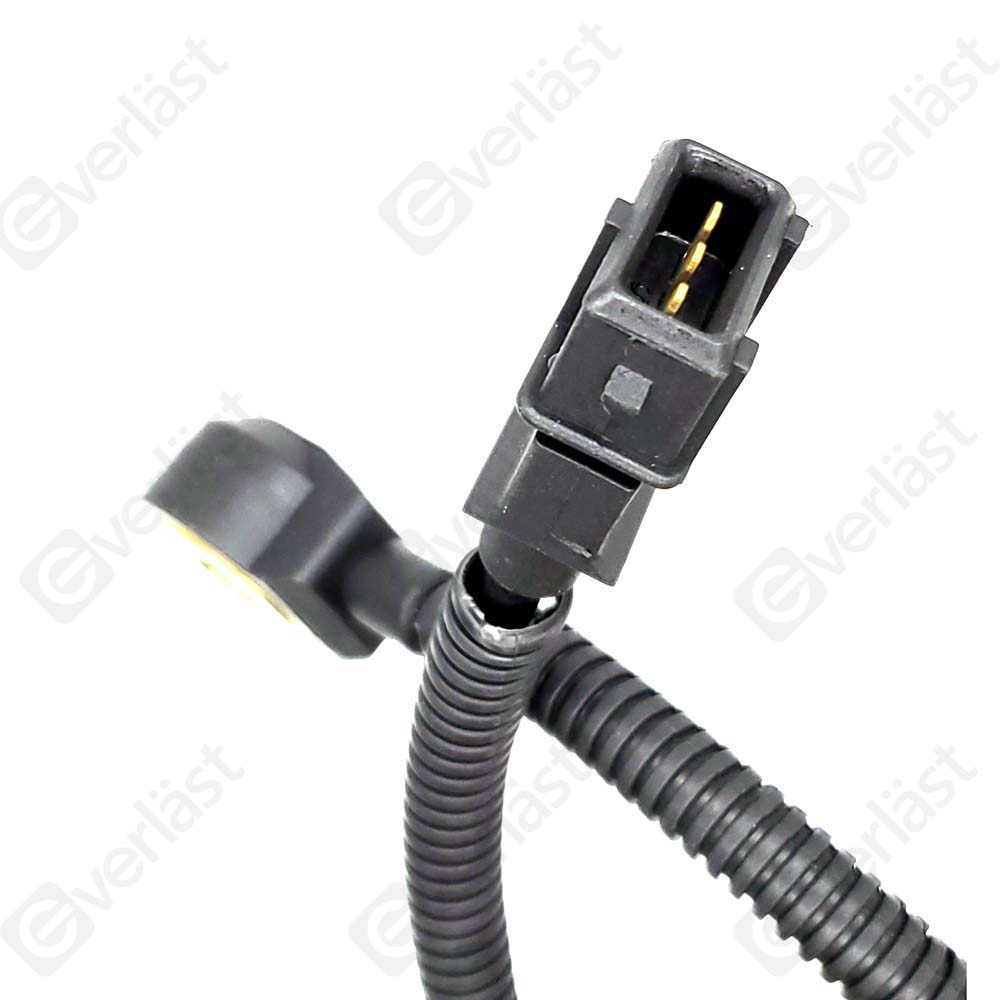 DETECTEUR CLIQUETIS EVERLAST - 4