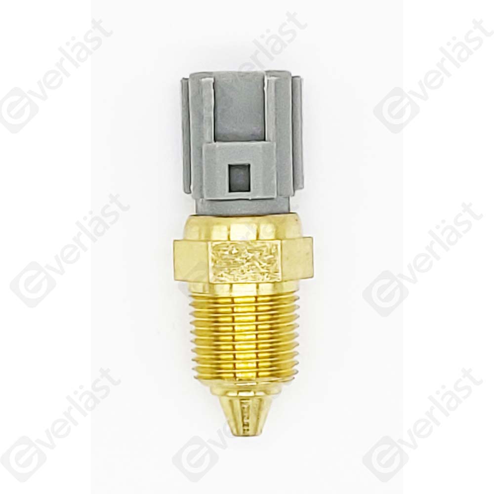 CAPTEURDE TEMPERATURE EVERLAST - 3