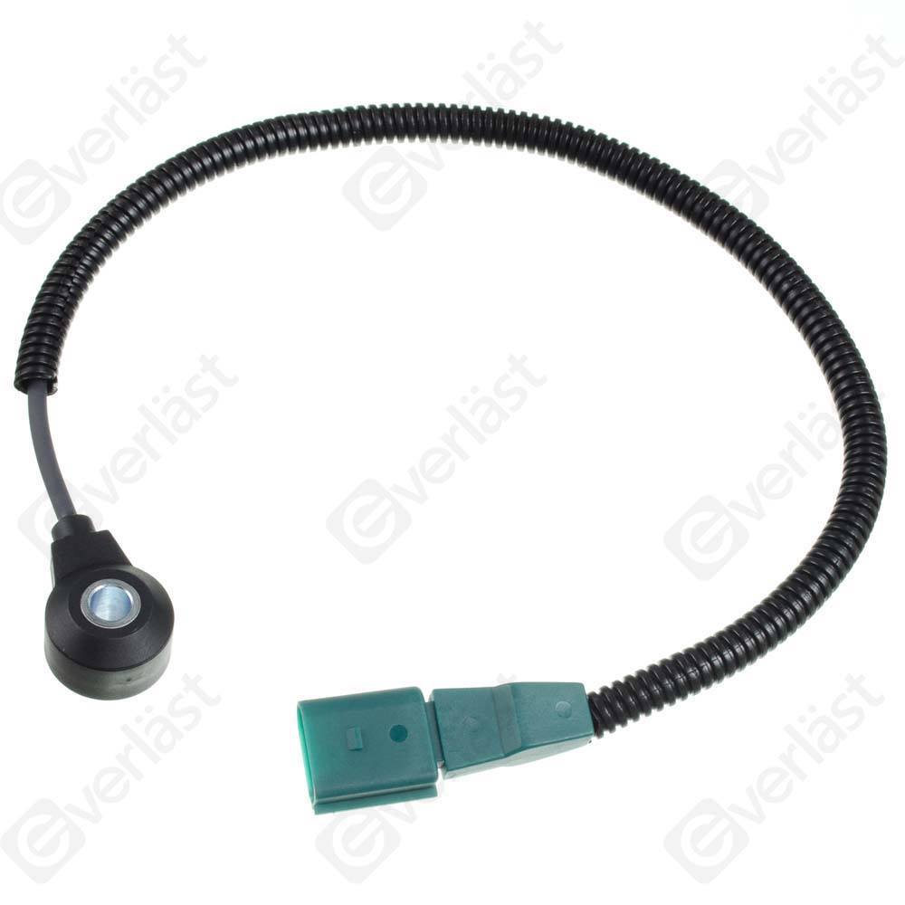 DETECTEUR CLIQUETIS EVERLAST - 3