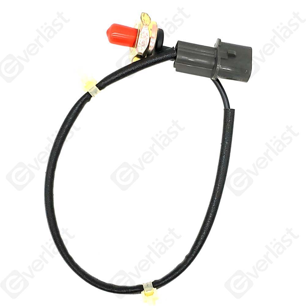 DETECTEUR CLIQUETIS EVERLAST - 4