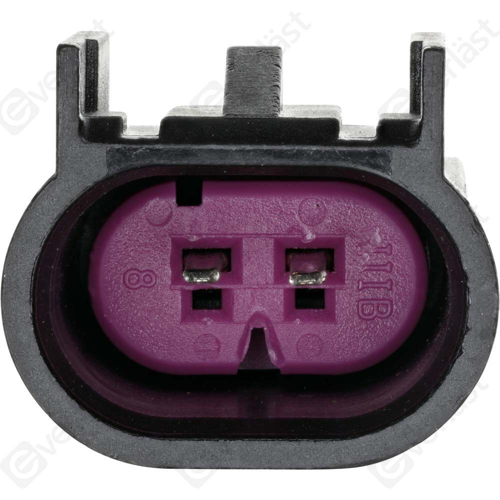CAPTEURDE TEMPERATURE EVERLAST - 4