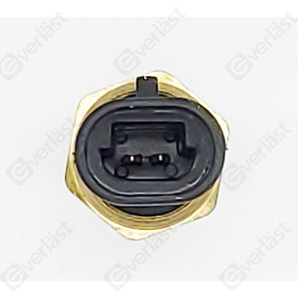 CAPTEURDE TEMPERATURE EVERLAST - 2