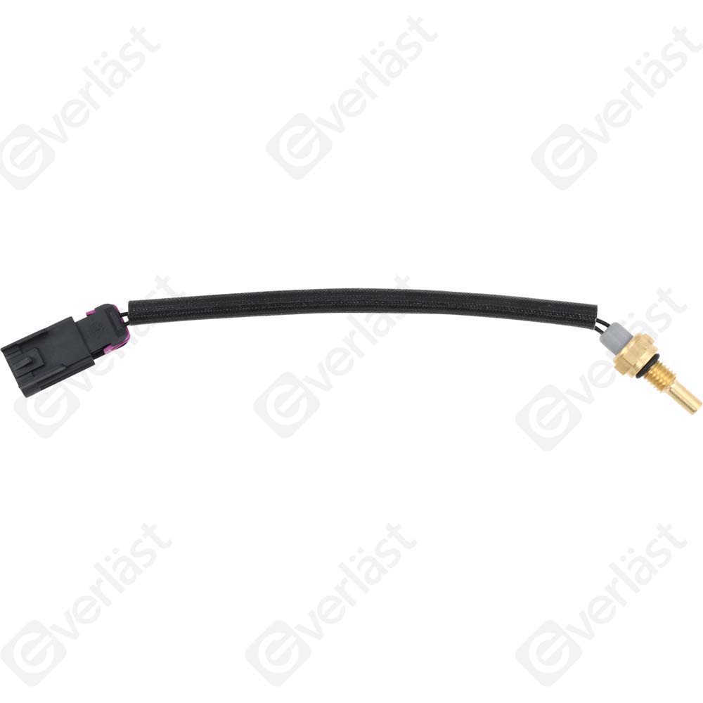 CAPTEURDE TEMPERATURE EVERLAST - 5
