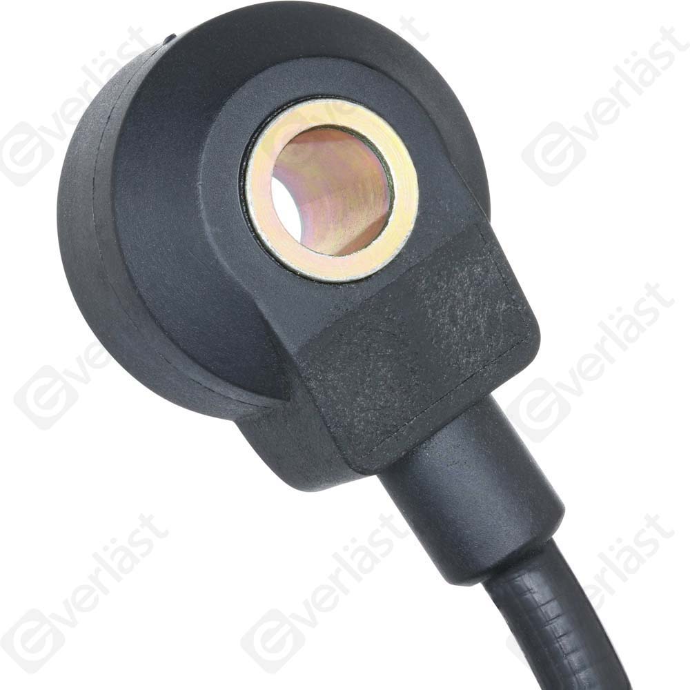DETECTEUR CLIQUETIS EVERLAST - 4
