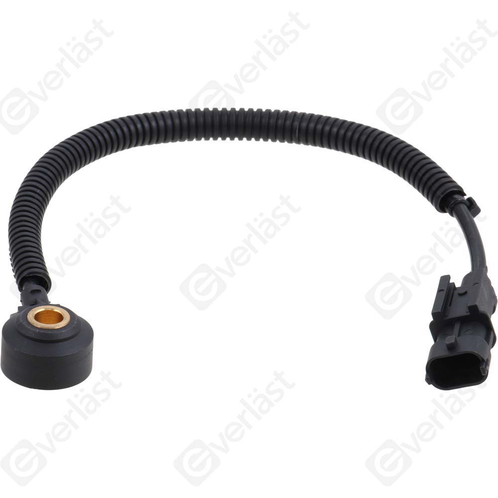 DETECTEUR CLIQUETIS EVERLAST - 5