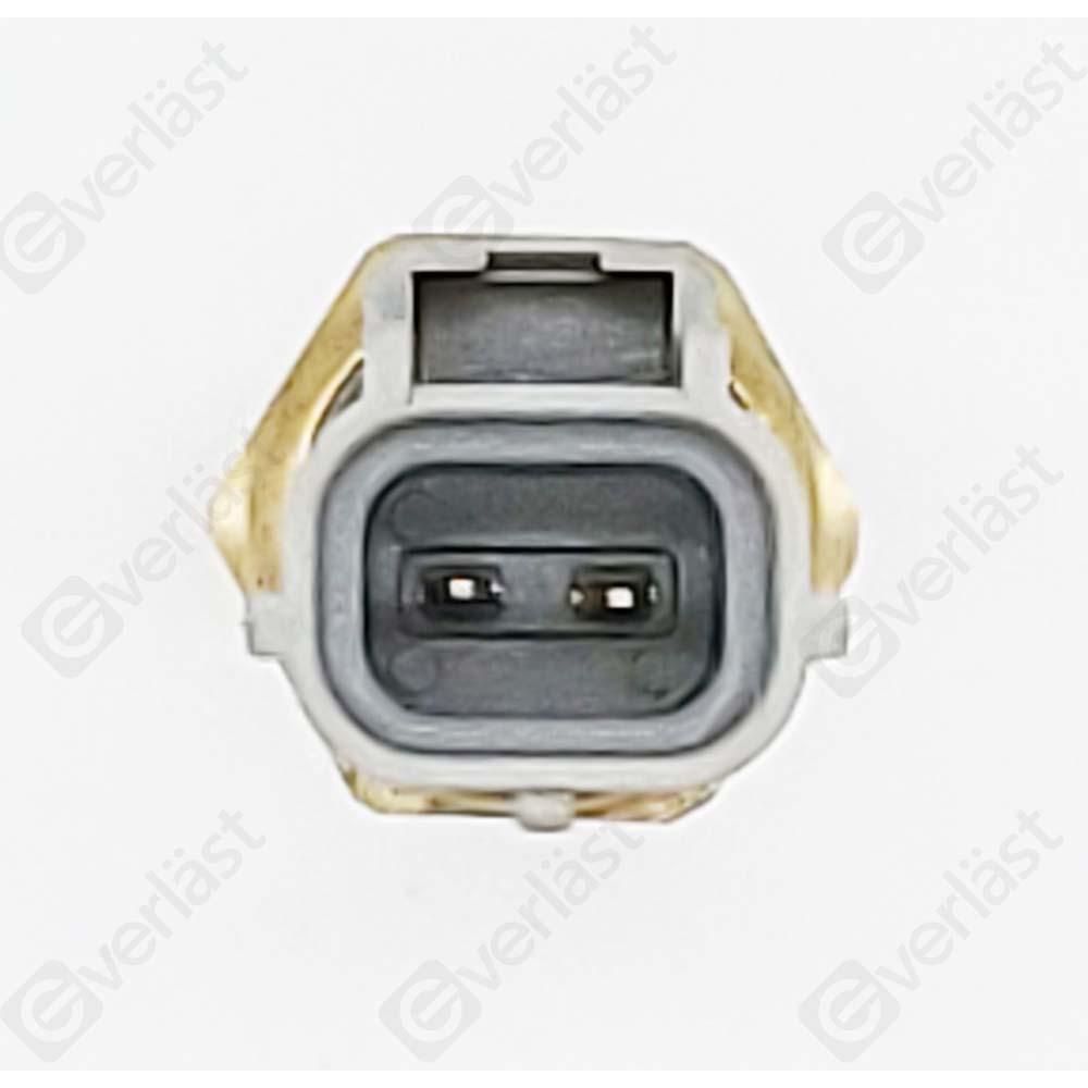 CAPTEURDE TEMPERATURE EVERLAST - 3