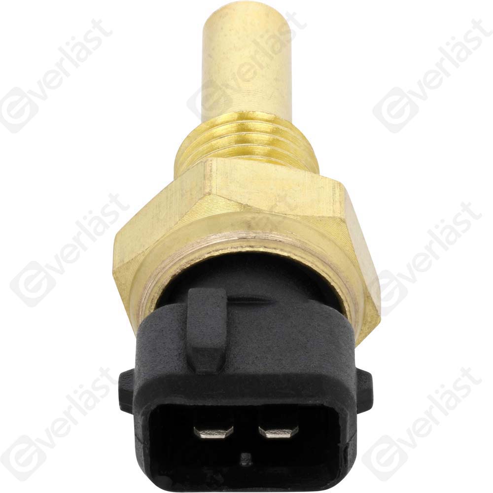 CAPTEURDE TEMPERATURE EVERLAST - 5