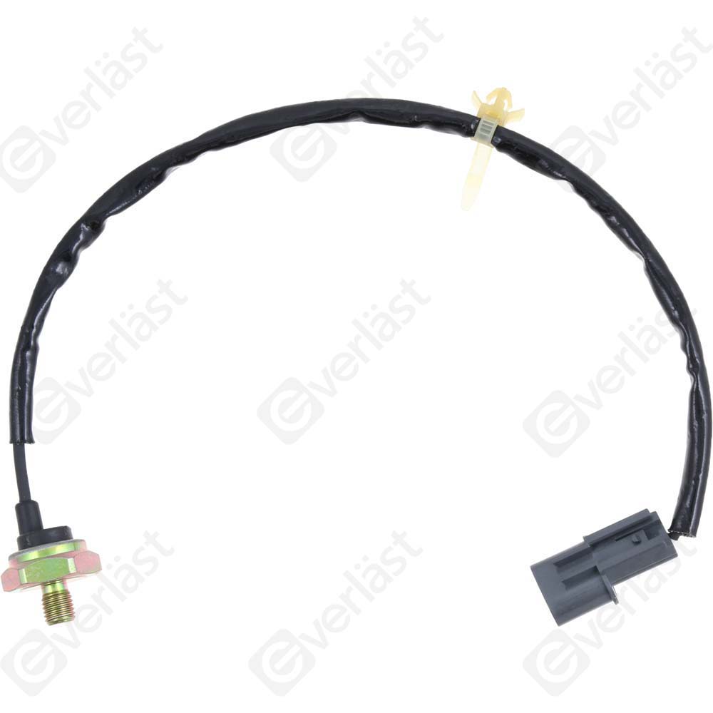 DETECTEUR CLIQUETIS EVERLAST - 4