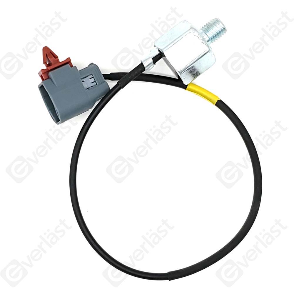 DETECTEUR CLIQUETIS EVERLAST - 4