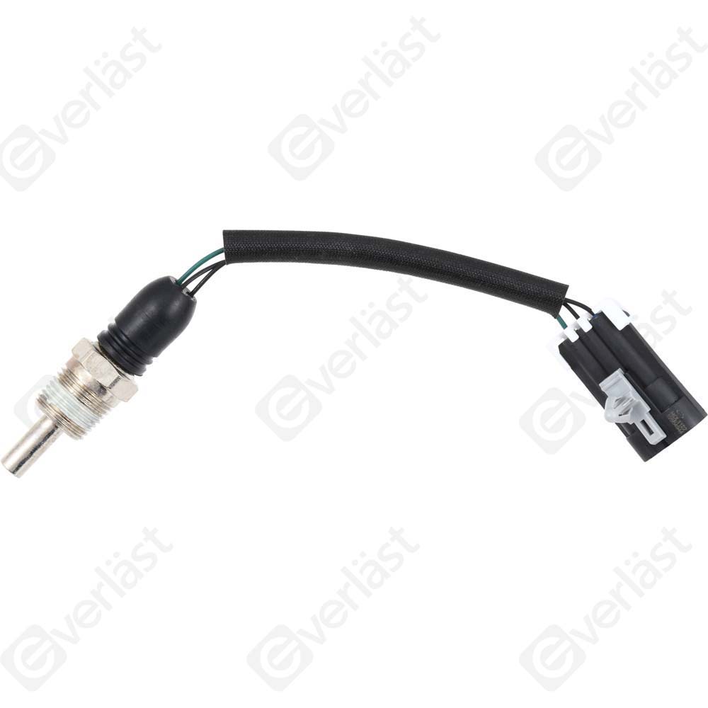 CAPTEURDE TEMPERATURE EVERLAST - 5