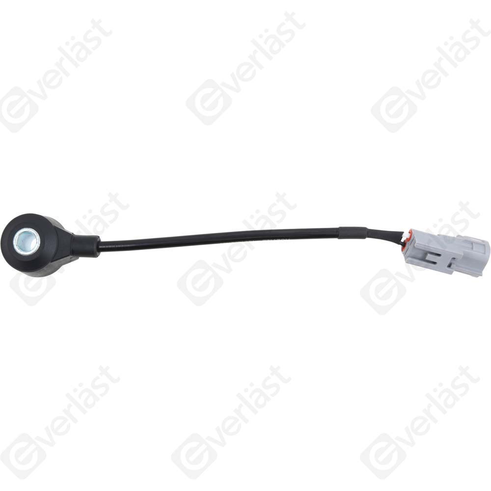 DETECTEUR CLIQUETIS EVERLAST - 4