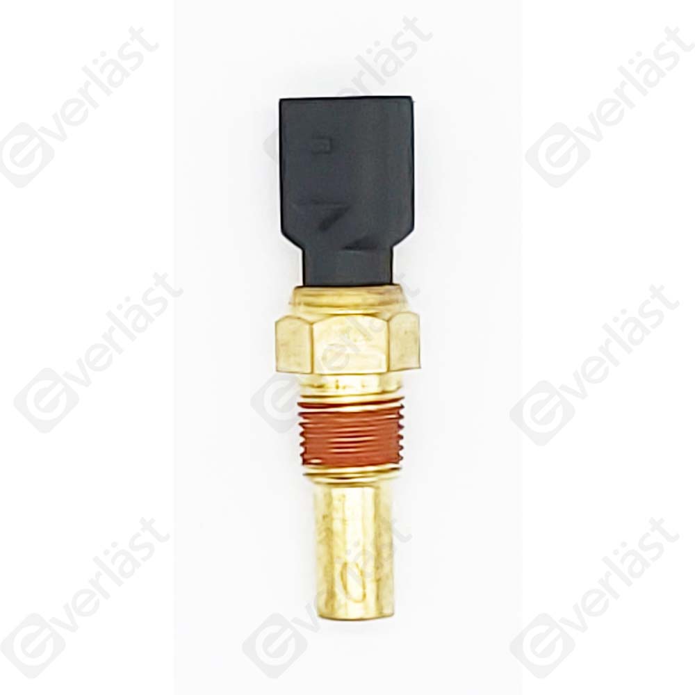 CAPTEURDE TEMPERATURE EVERLAST - 3