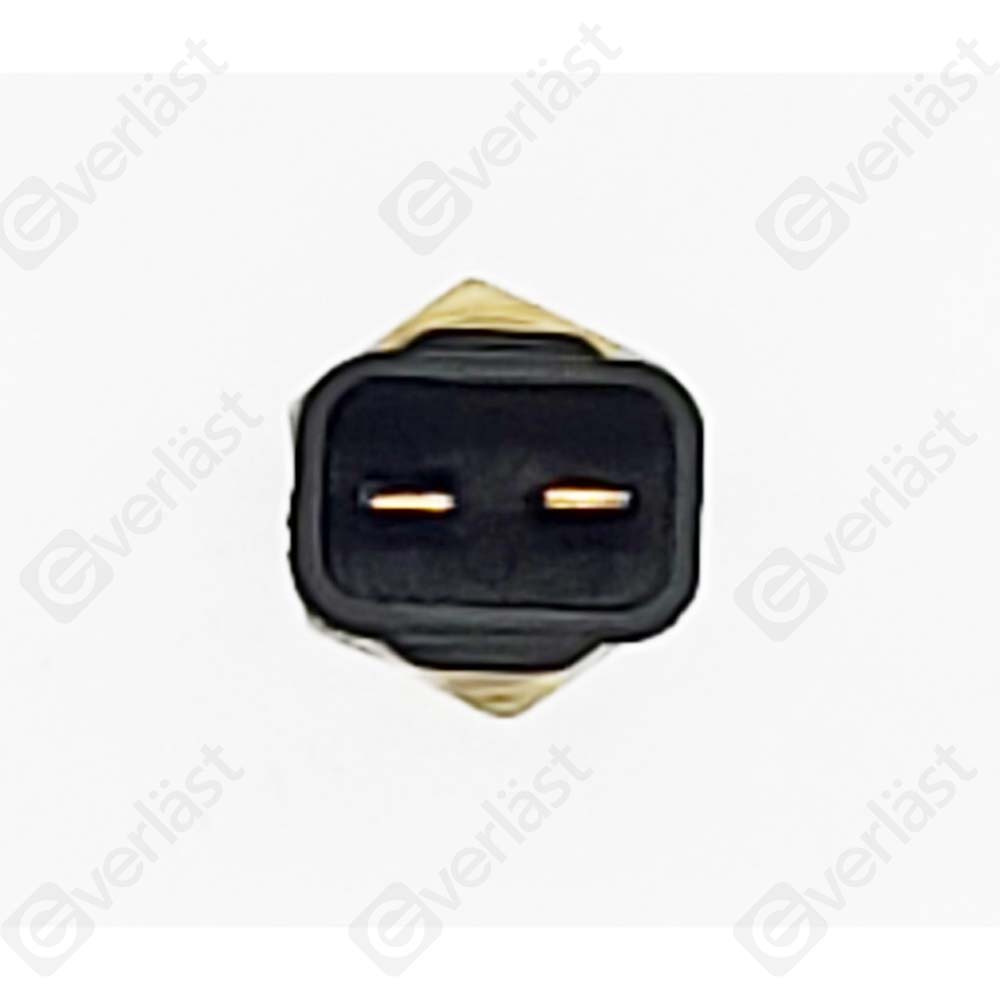 CAPTEURDE TEMPERATURE EVERLAST - 4