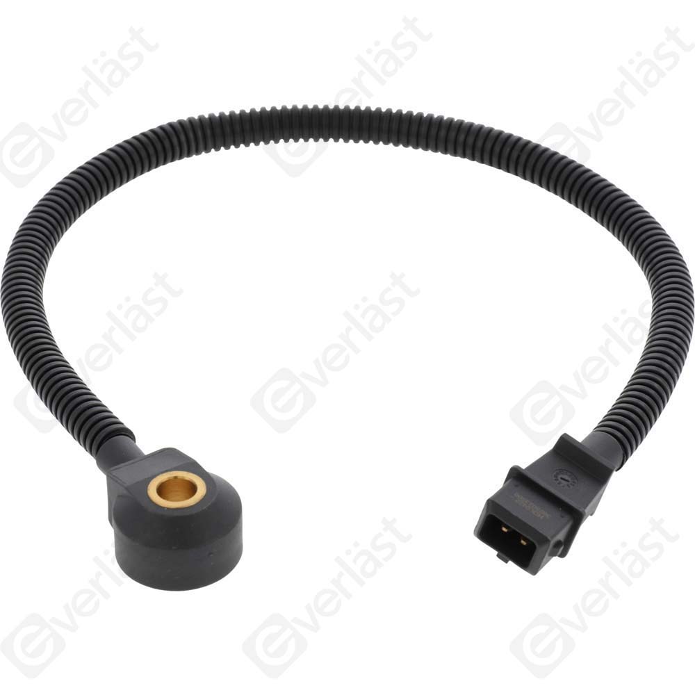 DETECTEUR CLIQUETIS EVERLAST - 5