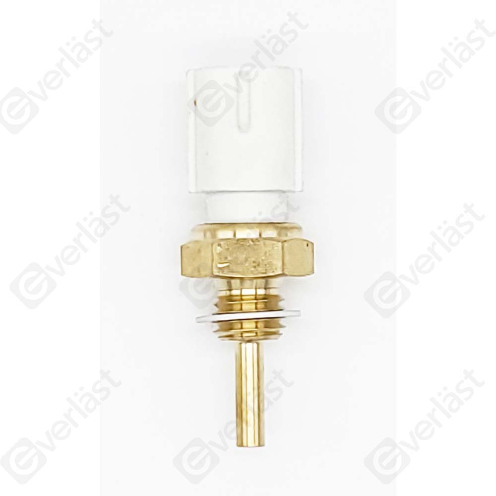 CAPTEURDE TEMPERATURE EVERLAST - 4