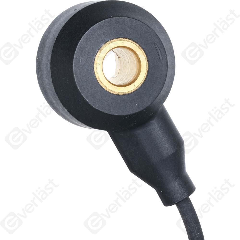 DETECTEUR CLIQUETIS EVERLAST - 5