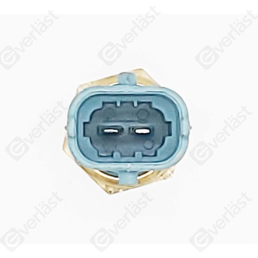 CAPTEURDE TEMPERATURE EVERLAST - 4