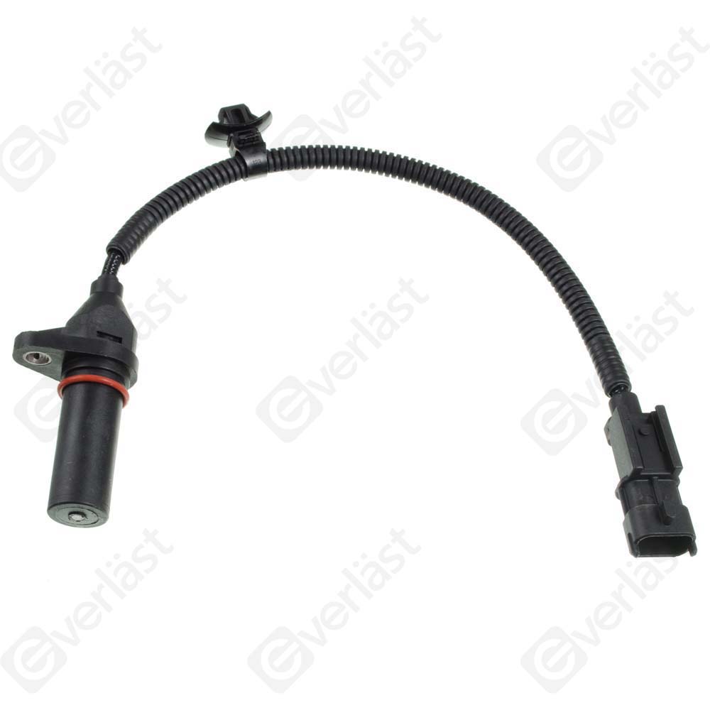 EVERLAST CRANK/CAM SENSOR - 3