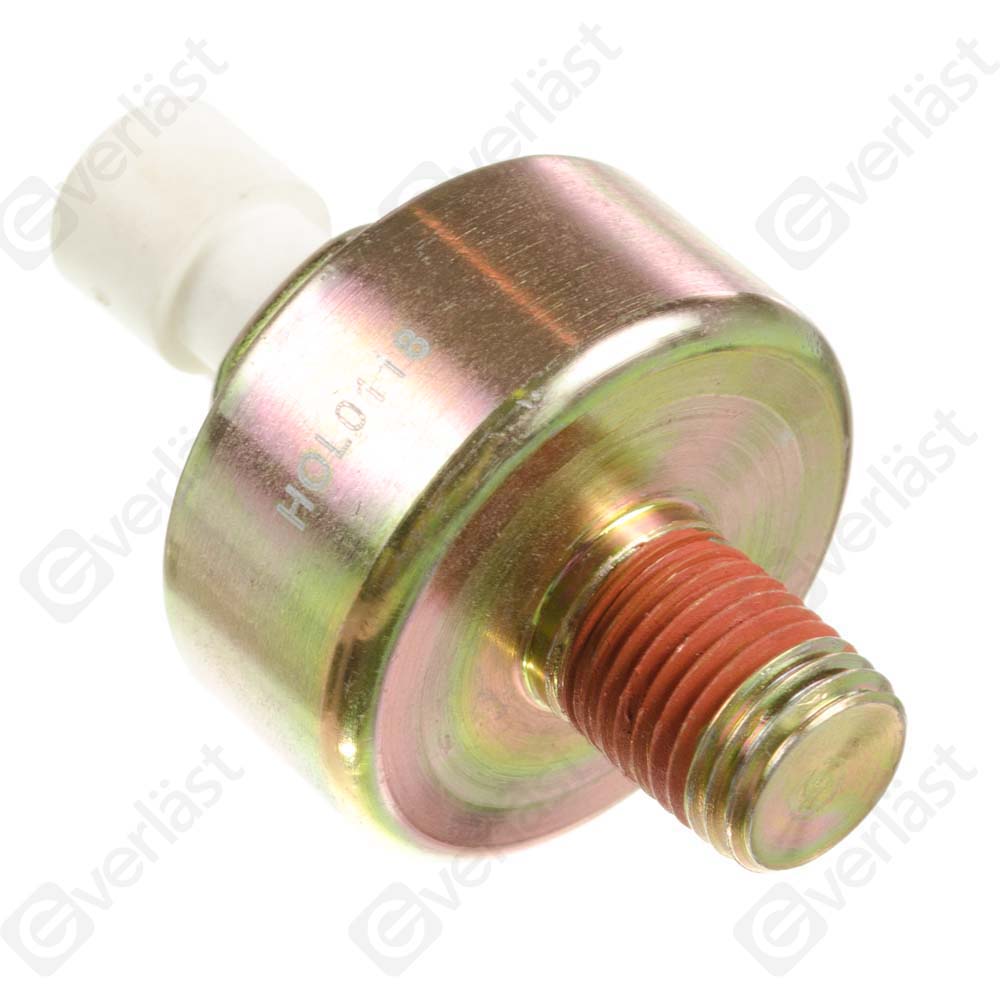 DETECTEUR CLIQUETIS EVERLAST - 3