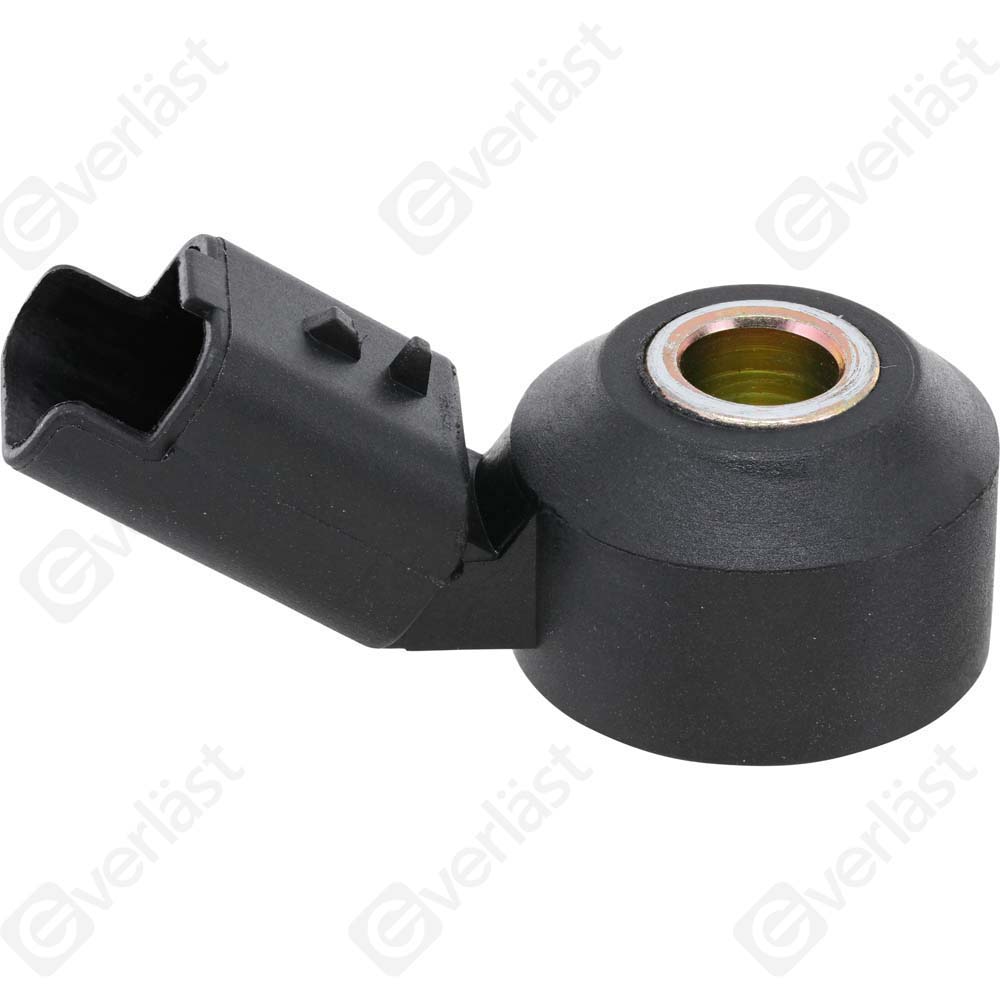 DETECTEUR CLIQUETIS EVERLAST - 5