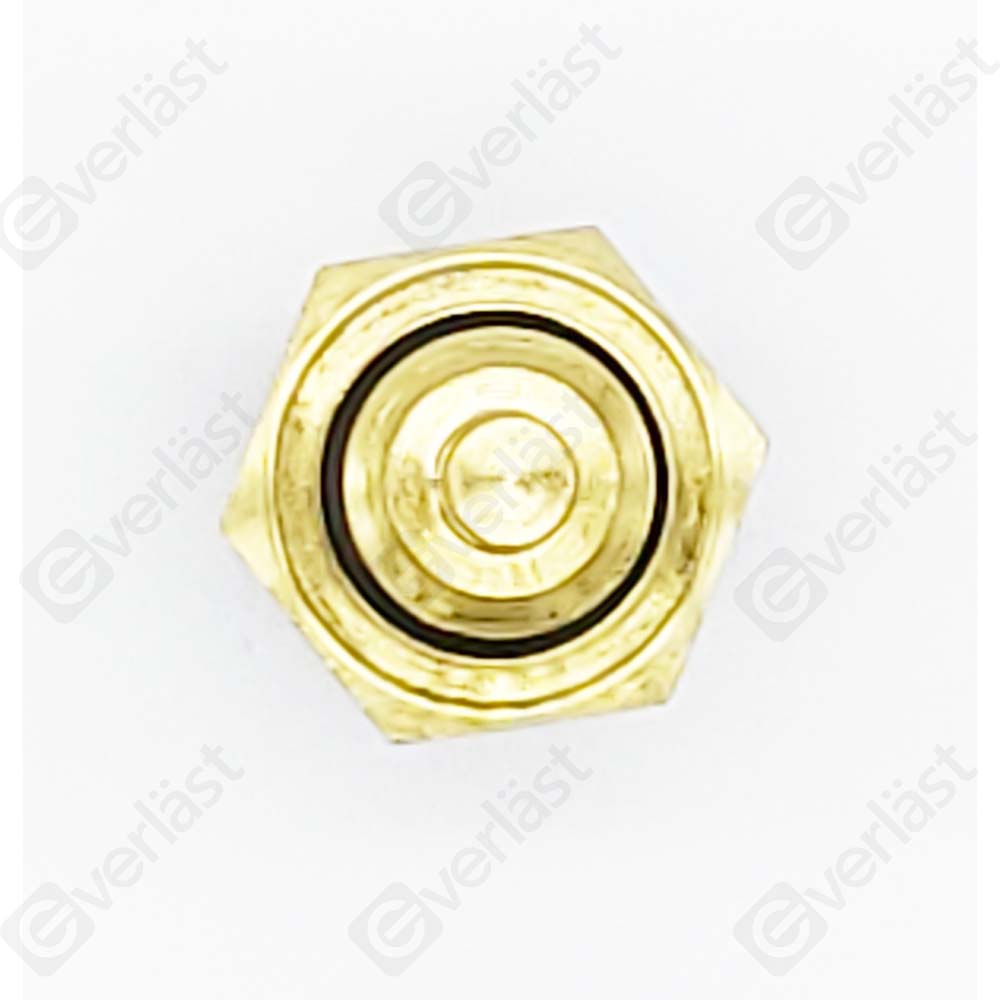 EVERLAST COOLANT SENSOR - 4