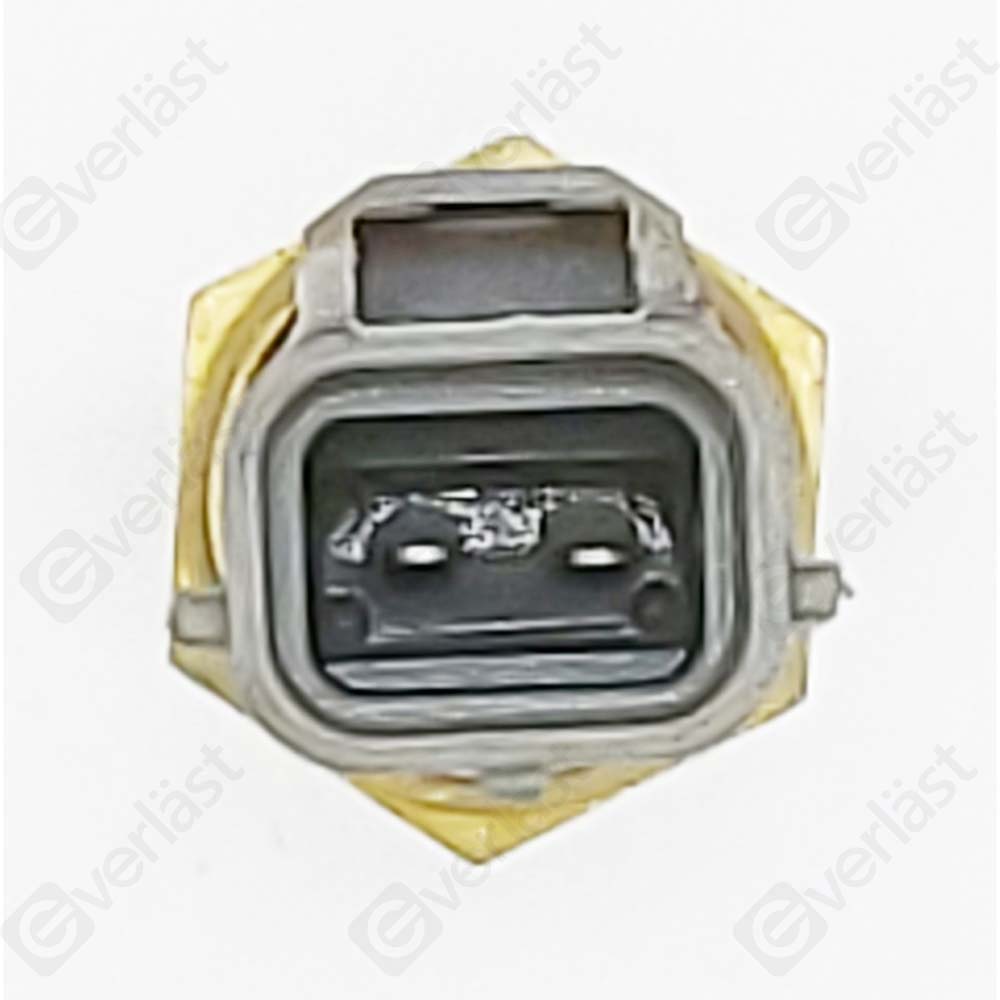 CAPTEURDE TEMPERATURE EVERLAST - 4