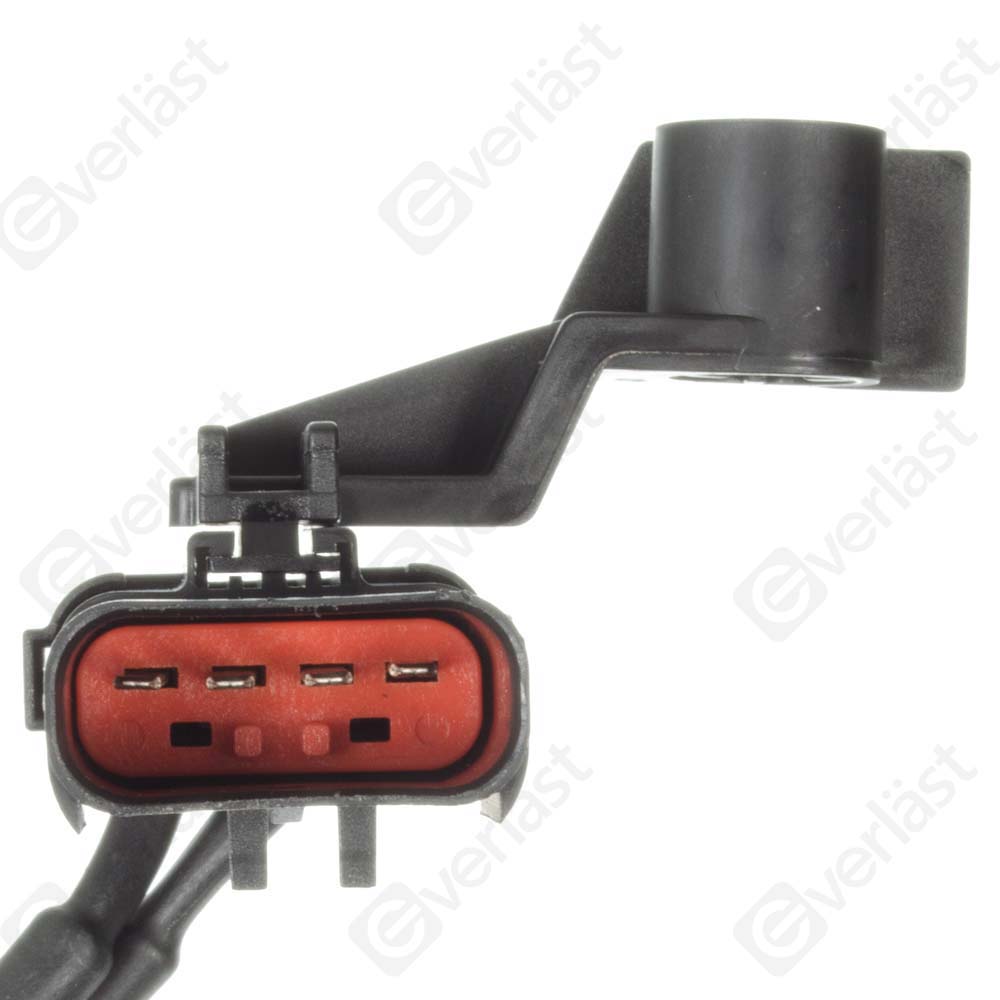 DETECTEUR CLIQUETIS EVERLAST - 4