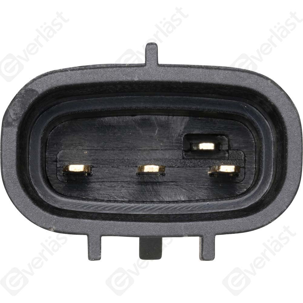 EVERLAST MANIFOLD SENSOR - 5
