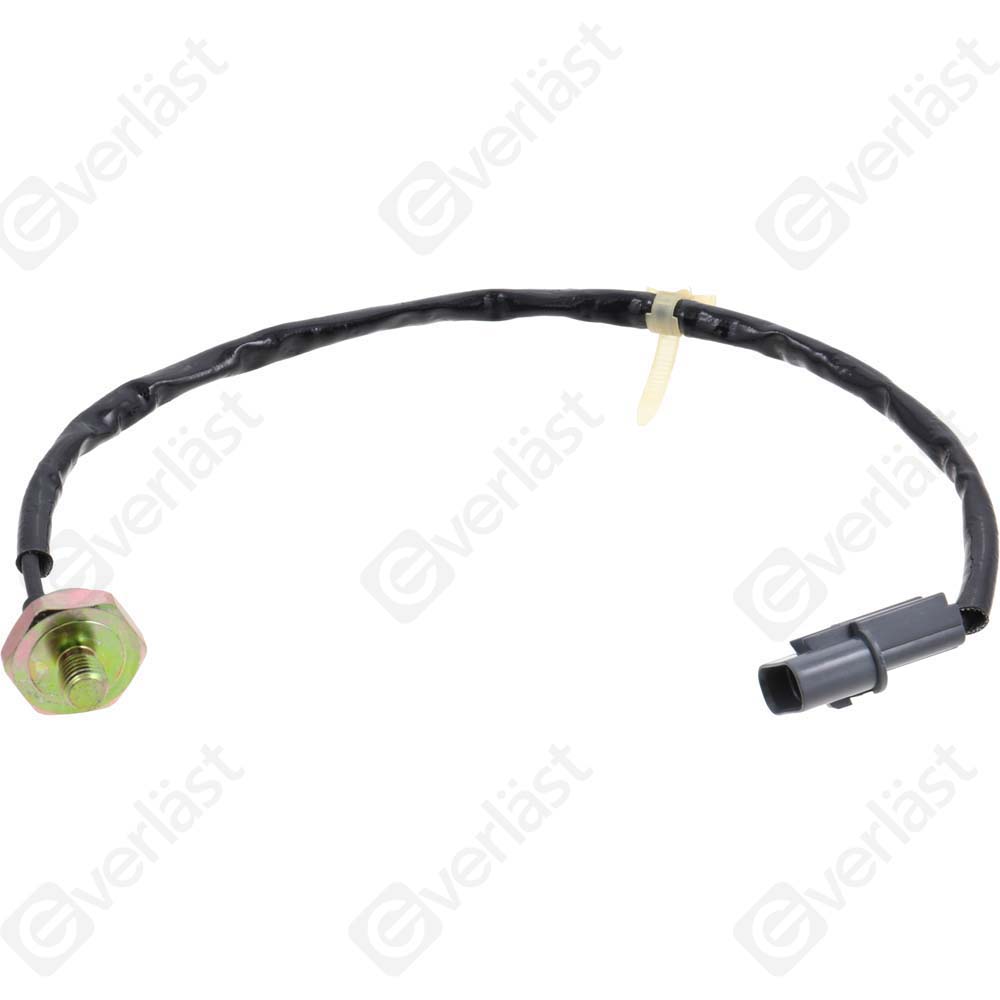 DETECTEUR CLIQUETIS EVERLAST - 5